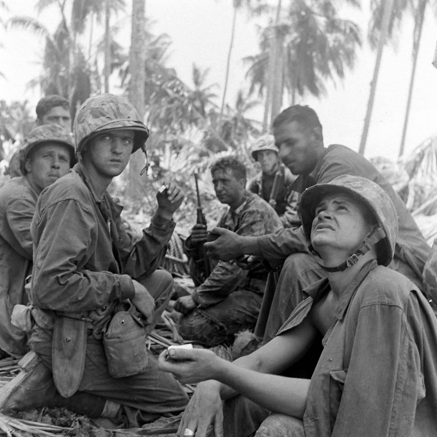 Bougainville pinces