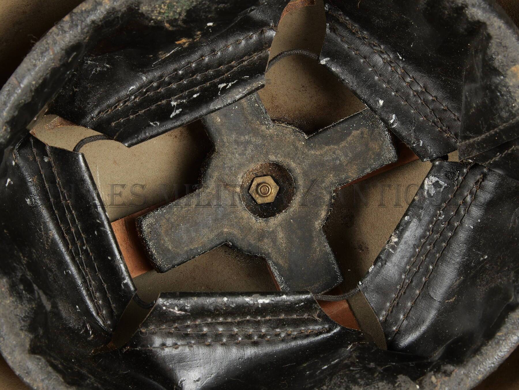 P1099858.JPG