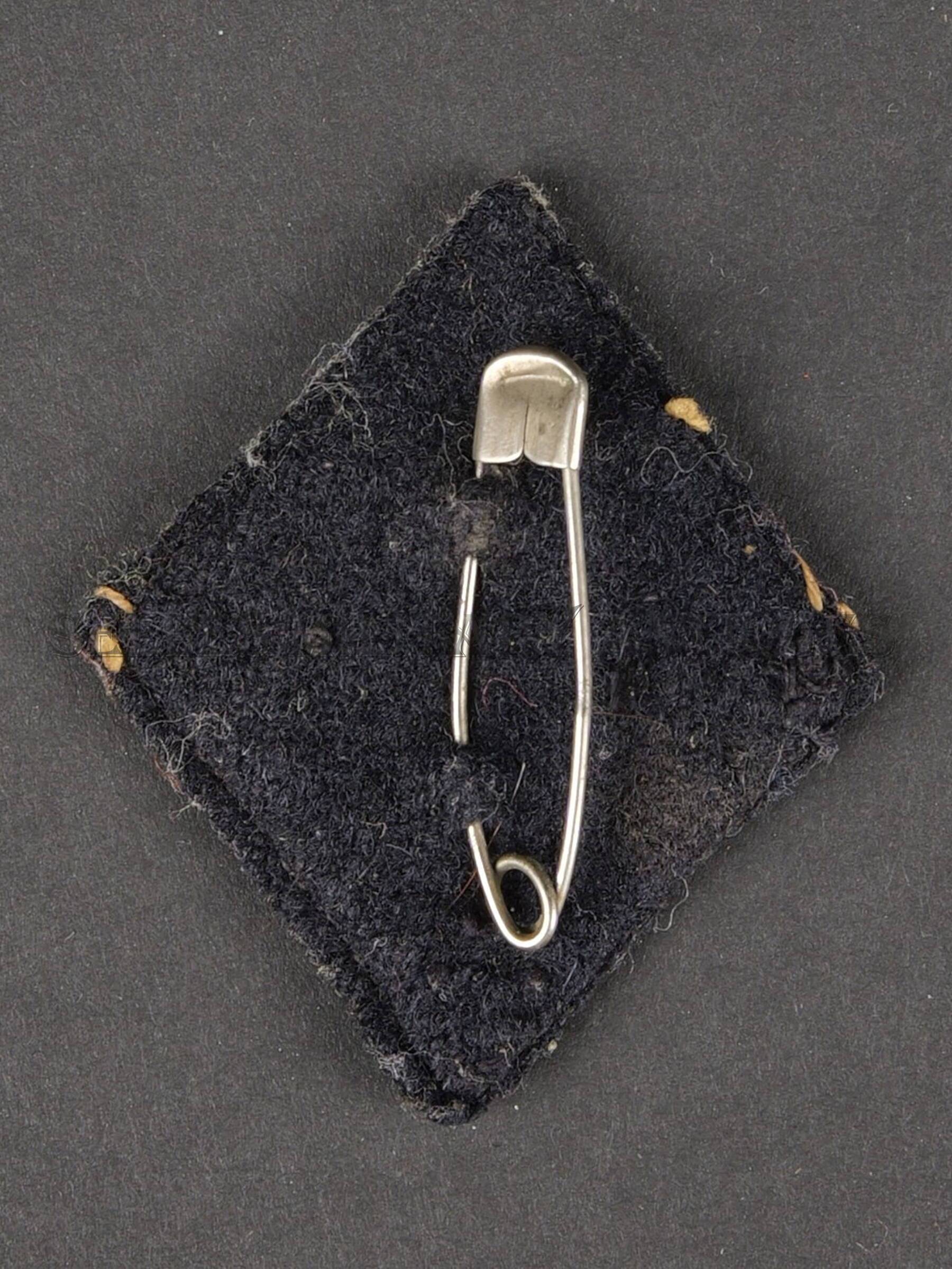 P1100004.JPG