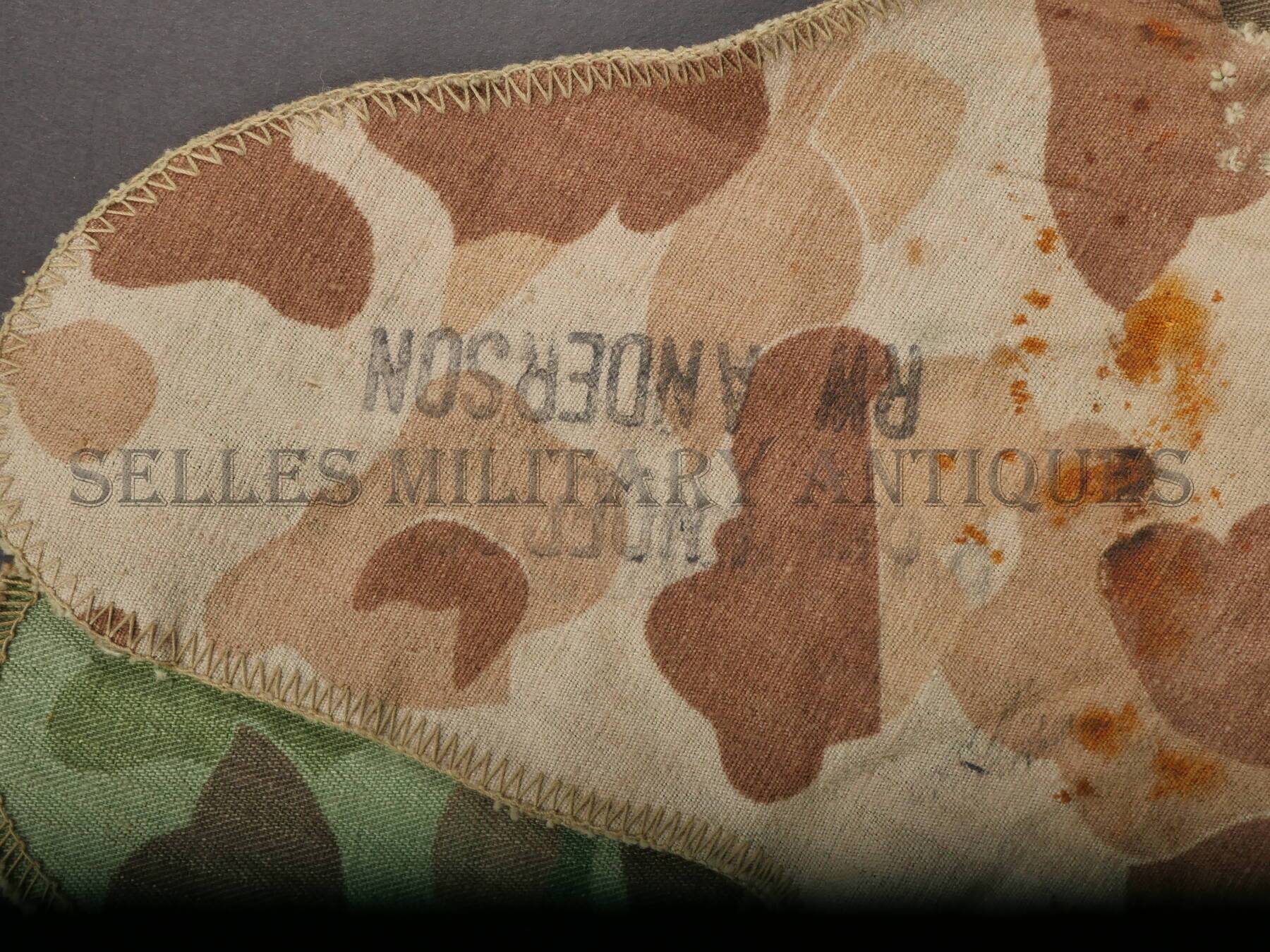 P1850544.JPG