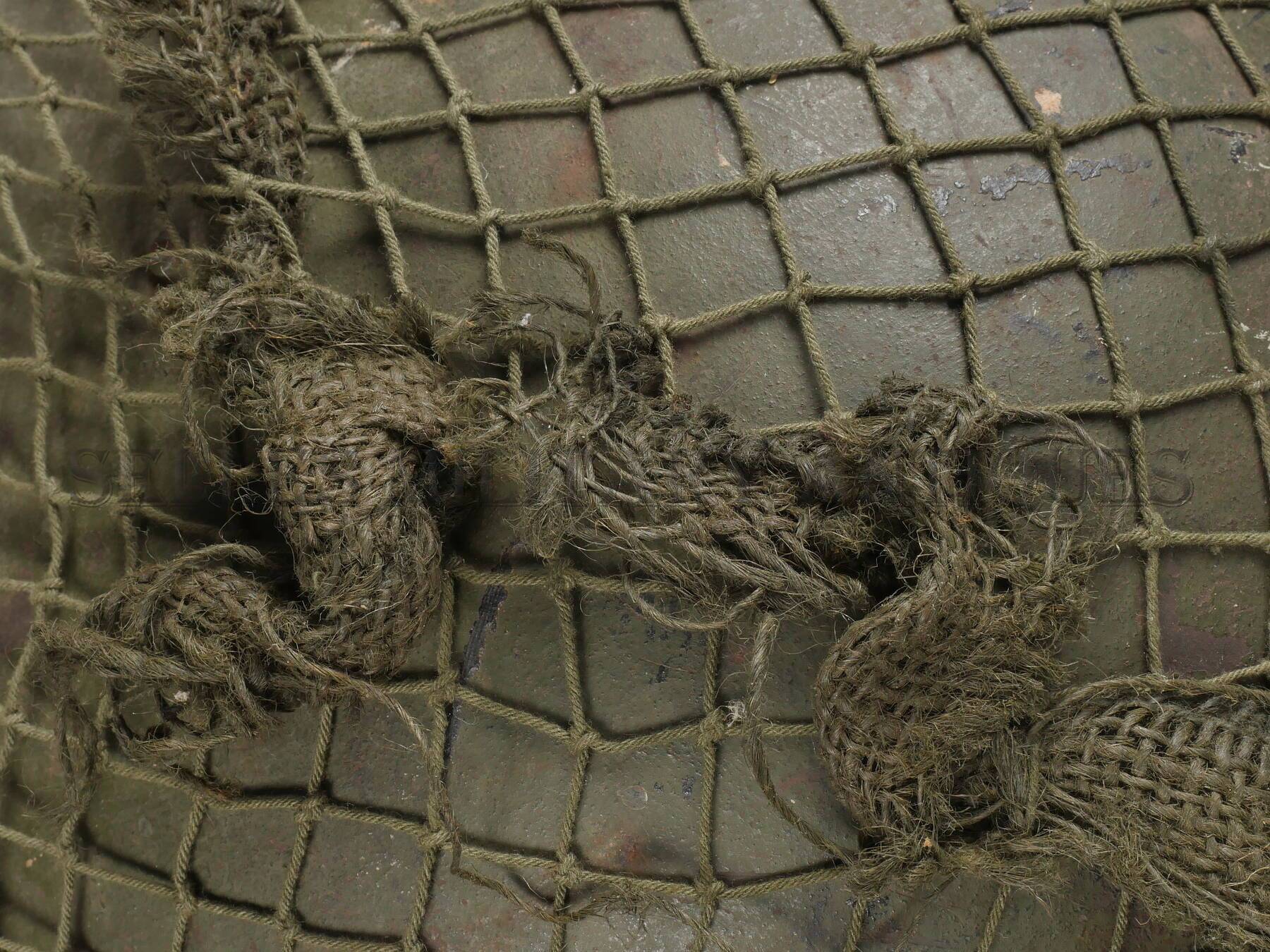P2800645.JPG