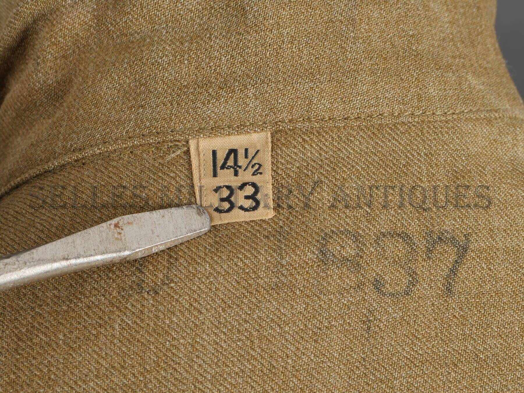 P3100039.JPG