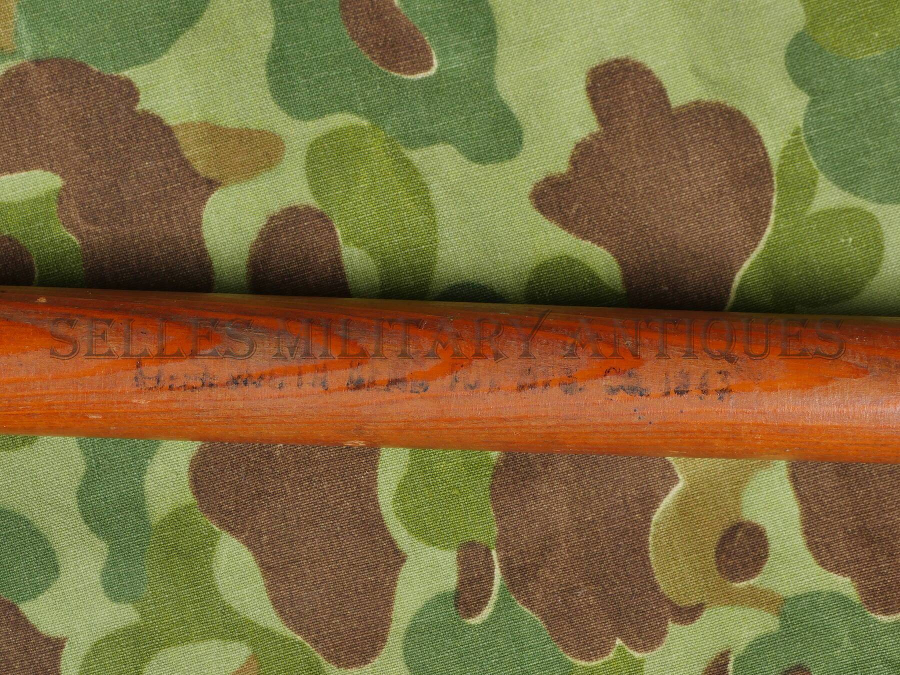 P3100255.JPG