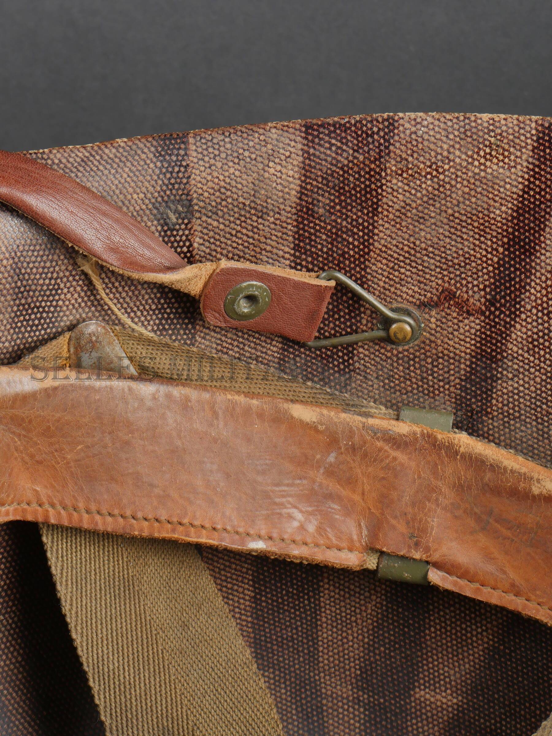 P3110257.JPG