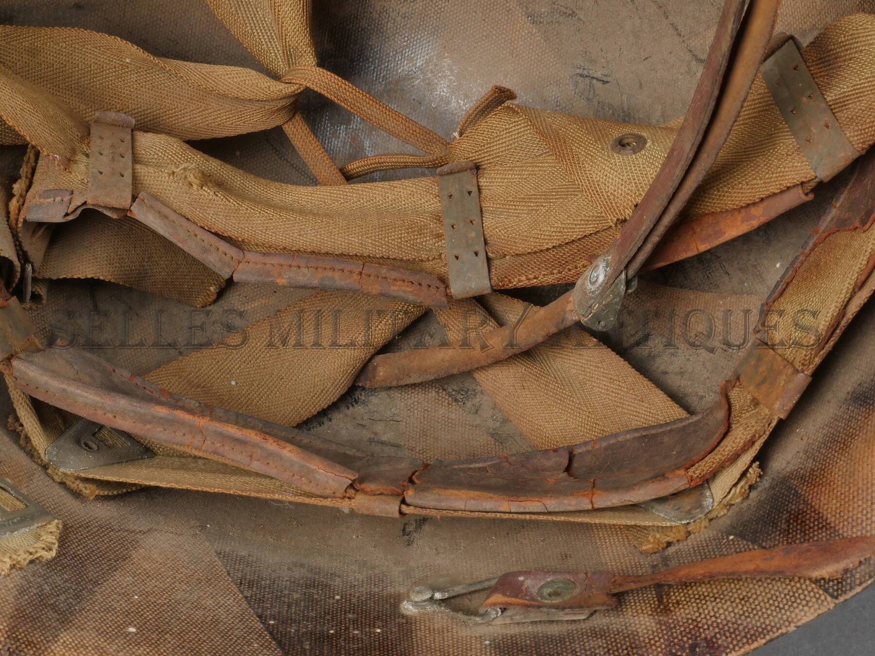P3110446.JPG