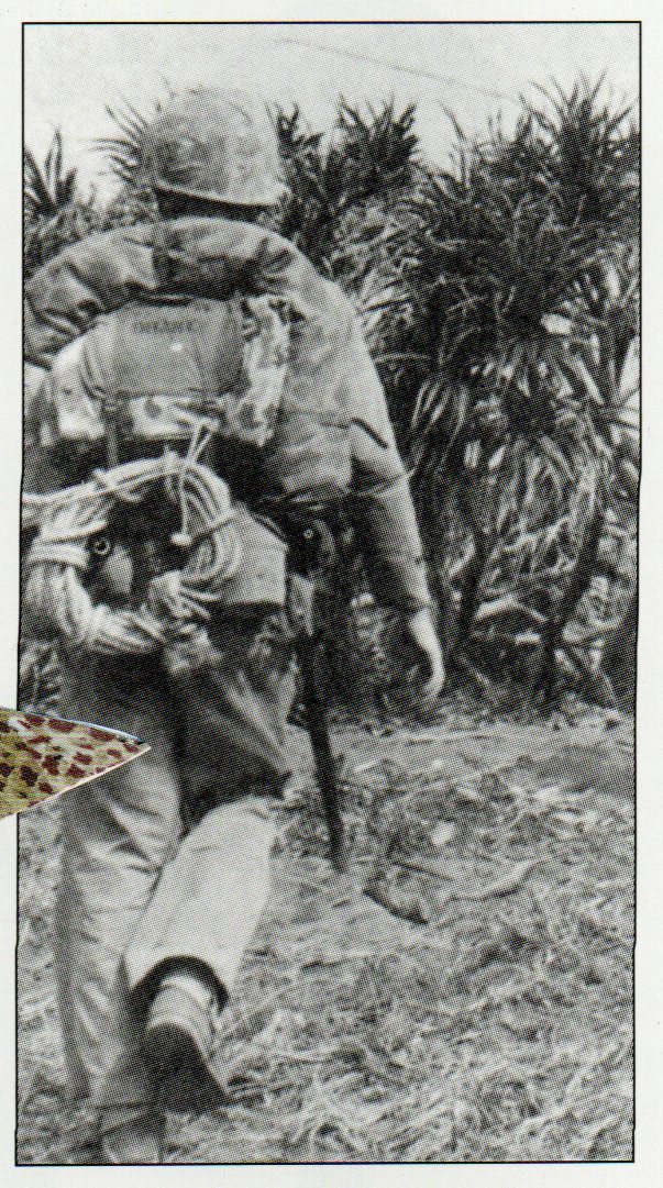 tente et poncho usmc
