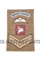 insigne-parachute-regiment-(1)