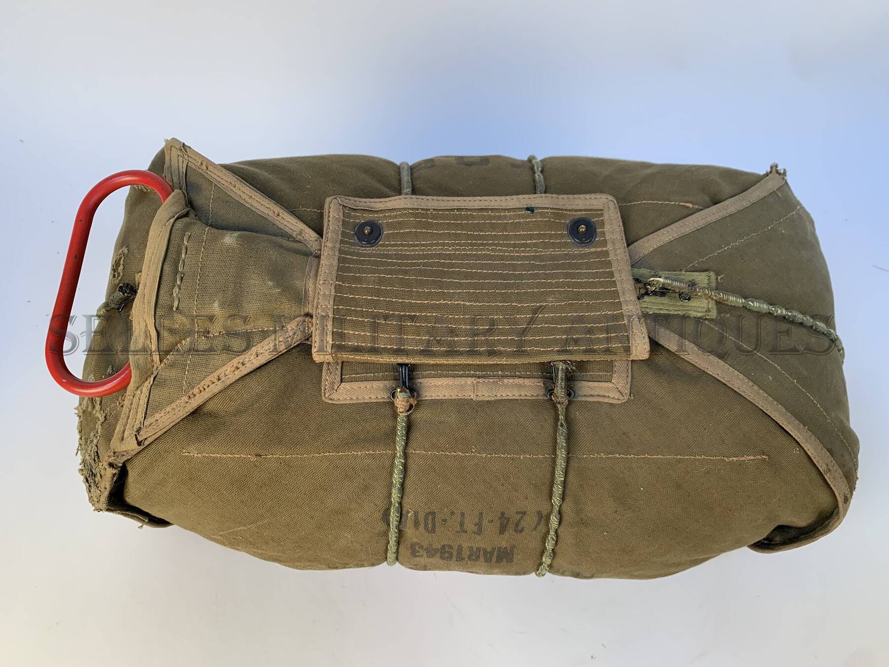 Ventral T-5 (17)