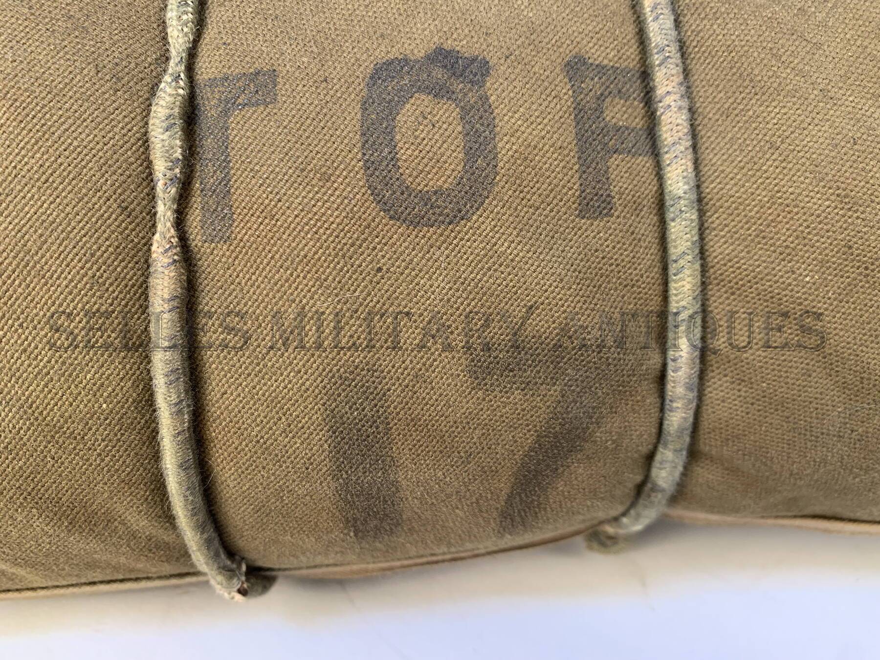 Ventral T-5 (2)